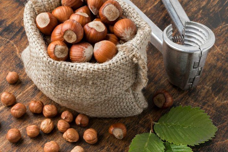 Minimum Order Quantity (MOQ) & Bulk Pricing for Hazelnut Kernel Buyers